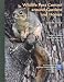 Wildlife Pest Control Around Gardens And Homes