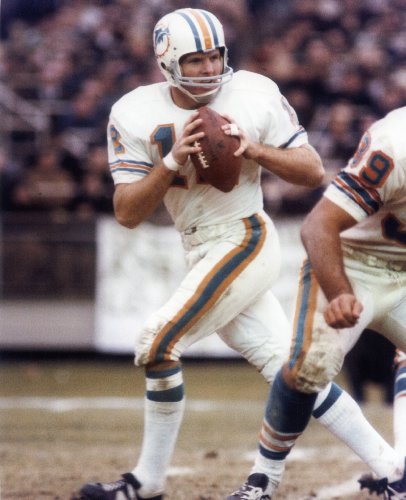BOB GRIESE MIAMI DOLPHINS 8X10 SPORTS ACTION PHOTO (G)