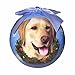Yellow Lab Christmas Ornament Shatter Proof Ball Easy To Personalize A Perfect Gift For Yellow Lab Lovers