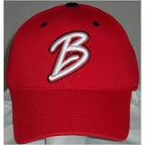 Bradley Braves 