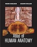 Atlas of human anatomy