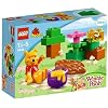 LEGO Duplo Winnie the Pooh 5945 - Winnie Poohs Picknick
