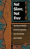 Not Slave, Not Free: The African American Economic Experience Since the Civil War