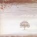 Wind And Wuthering
