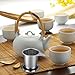 IPOW Brew-in-mug Teapot Extra Fine Mesh Tea Strainer Infuser Steeper with Lid and Handle for Loose Leaf Grain Tea Cups, Mugs, and Pots
