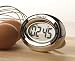 Kitchen & Housewares : Salter Oval Transparent Digital Timer