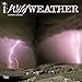 Wild Weather 2016 Wall Calendar