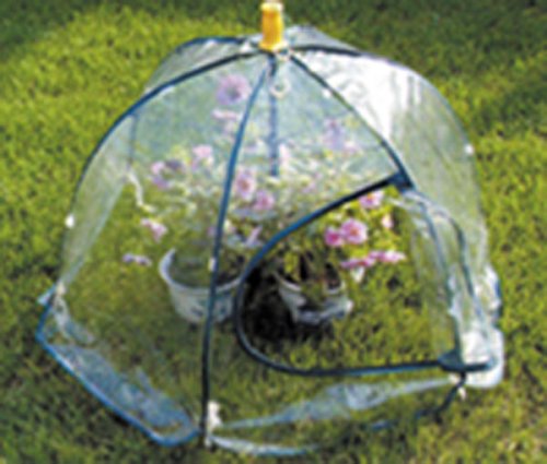Large Easy Up Greenhouse - Frost Protection
