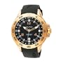 Nautica Men's N15559G Analog NST Date Watch