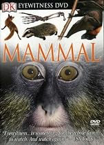 Stream Eyewitness: Mammal Online.