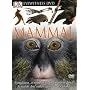 Eyewitness: Mammal