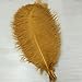 Shekyeon Gold 16-18inch 40-45cm Ostrich Feather DIY Craft Feather Pack of 10