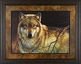IMAGE OF Gray Wolf Uninterrupted Stare Joni Johnson 38x32 Gallery Quality Framed Art Print Wolves Wildlife