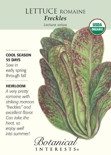 Lettuce Romaine Freckles Organic Seed Lettuce Romaine Freckles Organic Seed