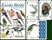 Exotic Birds Playing Cards