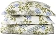 Divatex Waterflower Microfiber Duvet Full/Queen Mini Set, Ivory/Blue