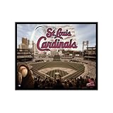 MLB St. Louis Cardinals Artissimo Team Glory 16x20 Canvas Art