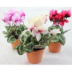 Mini Alpenveilchen Veilchen Blume Kunstblume Kunstpflanze Seidenblume wei� rosa purpur 18 cm, 3 Stk.