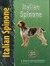 Italian Spinone (Special Rare Breed Edition)