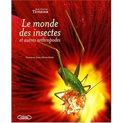 Le monde des insectes et autres arthropodes