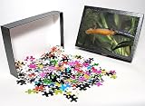 Photo Jigsaw Puzzle of MAR-610 Alpine Newt - male from Ardea Wildlife Pets