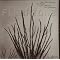 find easy listening avant-garde (classical, jazz)