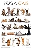 Produkt-Bild: Cats - Yoga Cats - Poster Foto Katzen - Gr&ouml;sse 61x91,5 cm