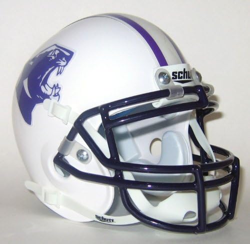 Orion Athletics Elder Panthers High School Mini Helmet - Cincinnati, OH