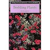 Bedding plants