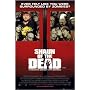 SHAUN OF THE DEAD Art Poster