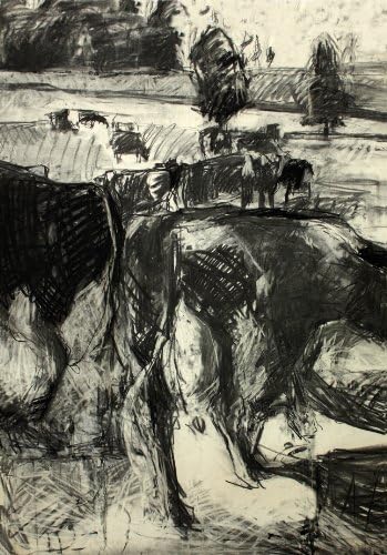 Fin, Giclee Print of Charcoal Drawing of Cows in a Field By Roberta Staat, 14 X 21 Inches