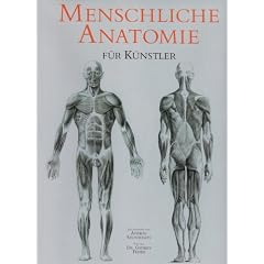 Menschliche Anatomie f�r K�nstler
