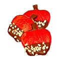 Pawsitively Gourmet Caramel Apple Cookies for Dogs (Pack of 20)