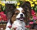 Just Papillons 2012 Calendar (Just (Willow Creek))