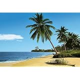 Buy African Beach 4-074 Wall Mural by Illusions Photo Wall