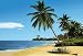 African Beach 4-074 Wall Mural