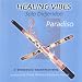 Healing Vibes - Solo Didjeridoo (Didgeridoo)