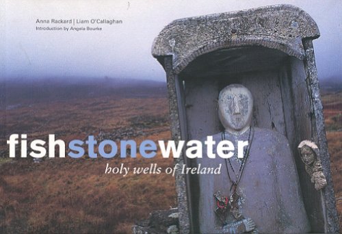 Fish Stone Water: The Holy Wells of Ireland