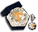 TENNESSEE U DIAMOND GLASS