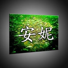 Kunstdruck Chinesisches Schriftzeichen " Annie " Wandbild in 100x140 cm