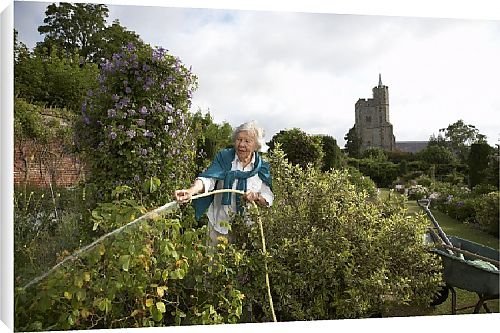 Canvas Prints of Best of British from Country Life 
