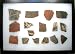 Pottery Shards in Riker Display Case - Including 600 to 1000 Year Old Anasazi Shards