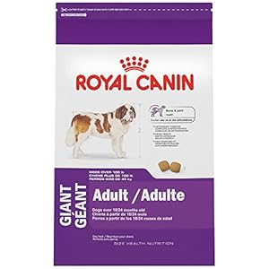 ROYAL CANIN SIZE HEALTH NUTRITION GIANT Adult dry dog food, 35-Pound