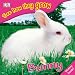 Bunny (See How They Grow) by DK Publishing