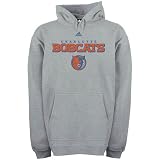 Charlotte Bobcats Absolute Fleece Hooded Sweatshirt