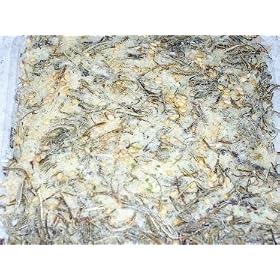 �y���������z ���͂񂪂����ށI����ƍ��z�̂ӂ肩���B���獩�z�i���炱��j�k�C���Y���I �T�O��