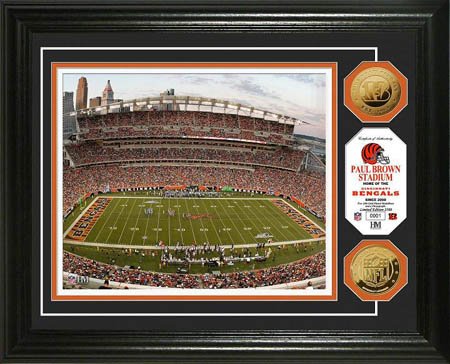 Cincinnati Bengals - Paul Brown Stadium - Framed Photo Picture