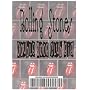 The Rolling Stones In Chicago Live @ Double Door