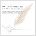 Haydn: Symphonies