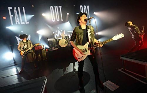 7.8"x11.8" (20x30cm)Tin Poster Decor Wall Fall Out Boy Fabric Cloth Rolled by Single Dandelion